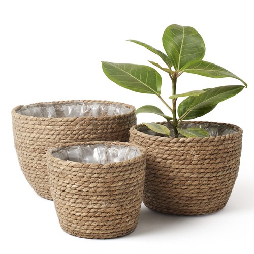 Jolíe muse seagrass - muse,